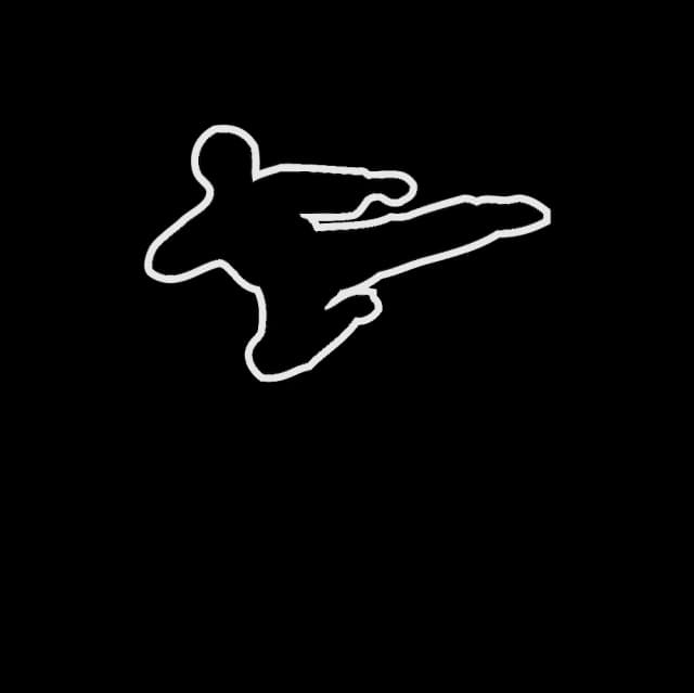 Iowa Taekwondo Alliance