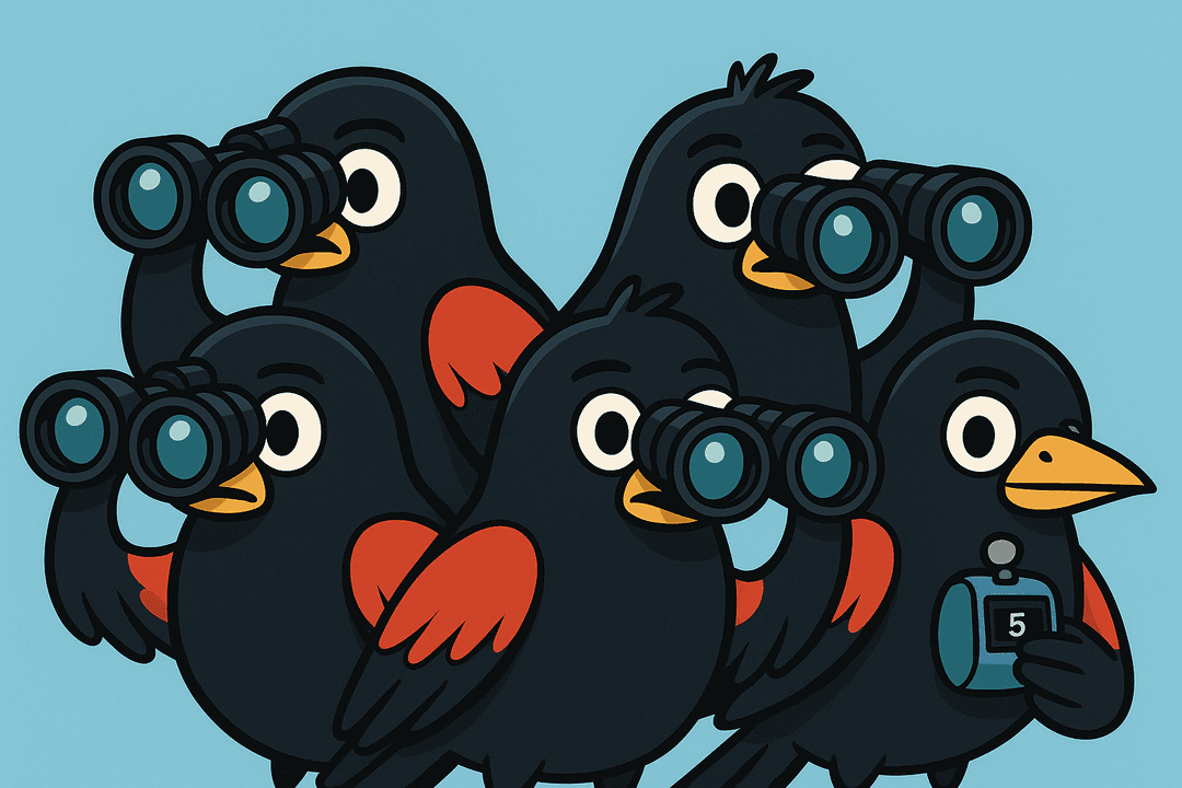 Red-winged Black Birds